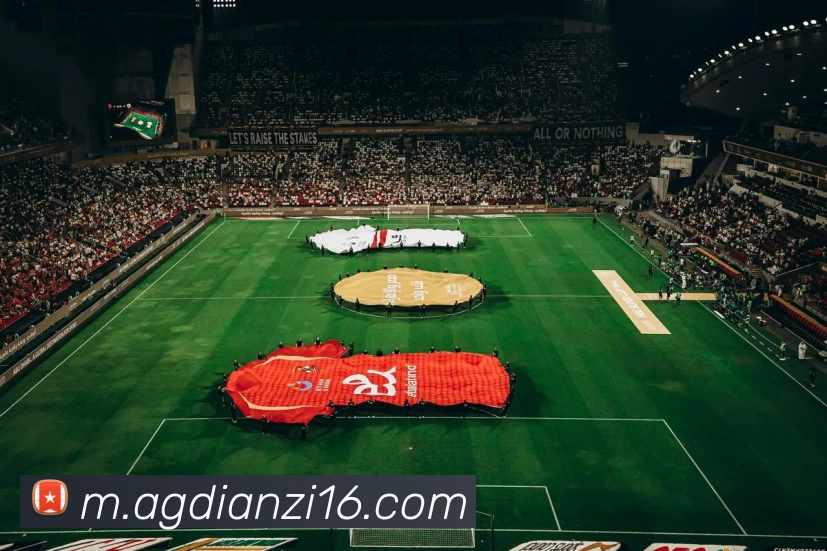 ag电子体育平台生态图