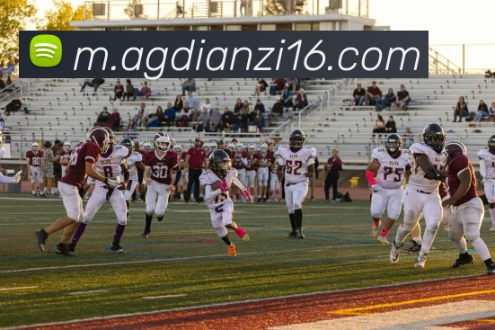 ag电子体育APP 封面图